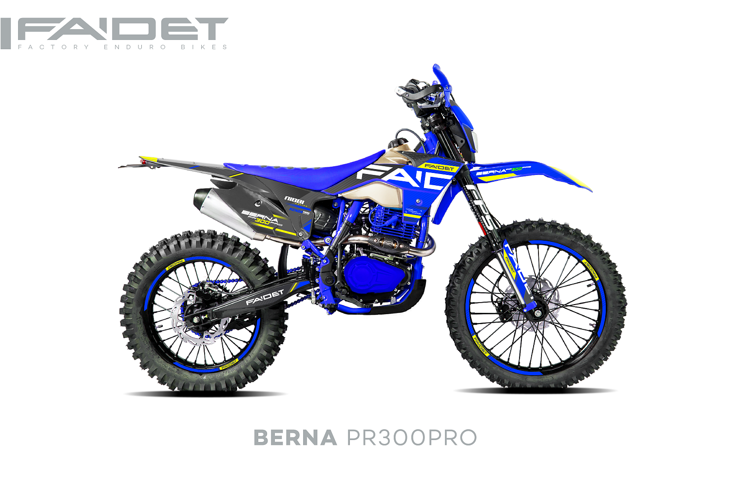 Кроссовый мотоцикл FAIDET BERNA PR300-PRO FPS в Костроме