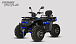 Квадроцикл PROMAX TAURUS 300 MAX-PRO LONG в Костроме