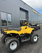 КВАДРОЦИКЛ IRBIS ATV 250  в Костроме