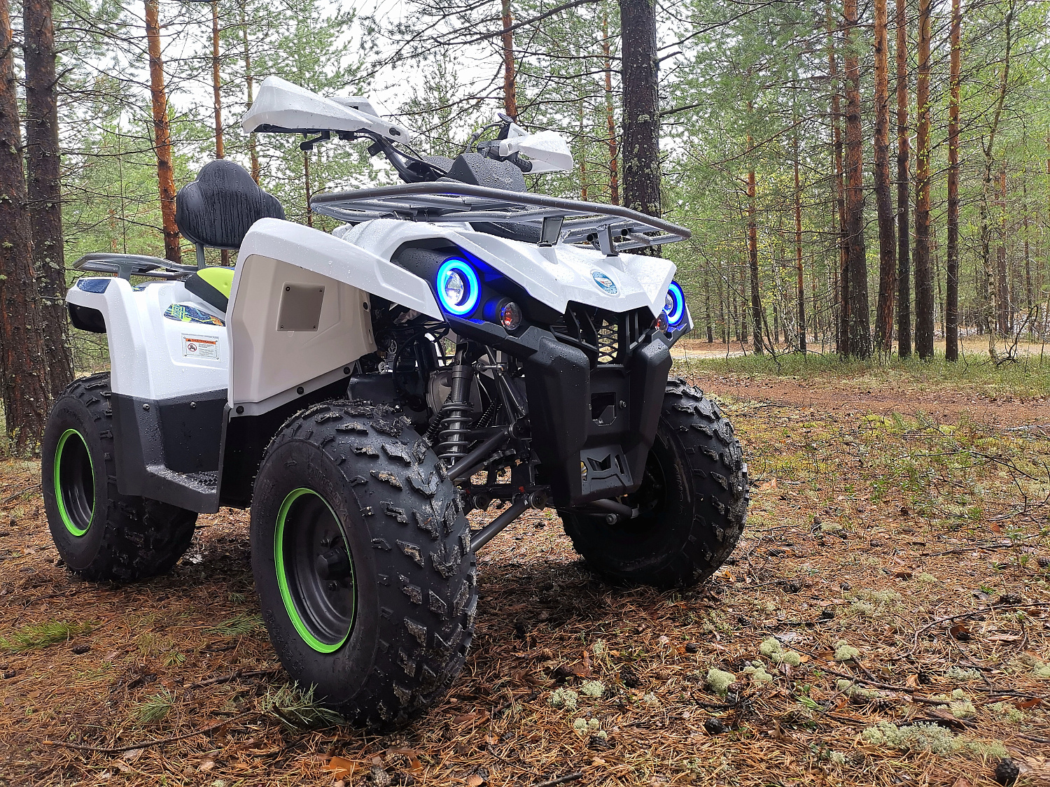 Квадроцикл PROMAX RENEGADE 280 (2025) в Костроме