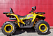 Квадроцикл PROMAX STORM 280 LUX в Костроме