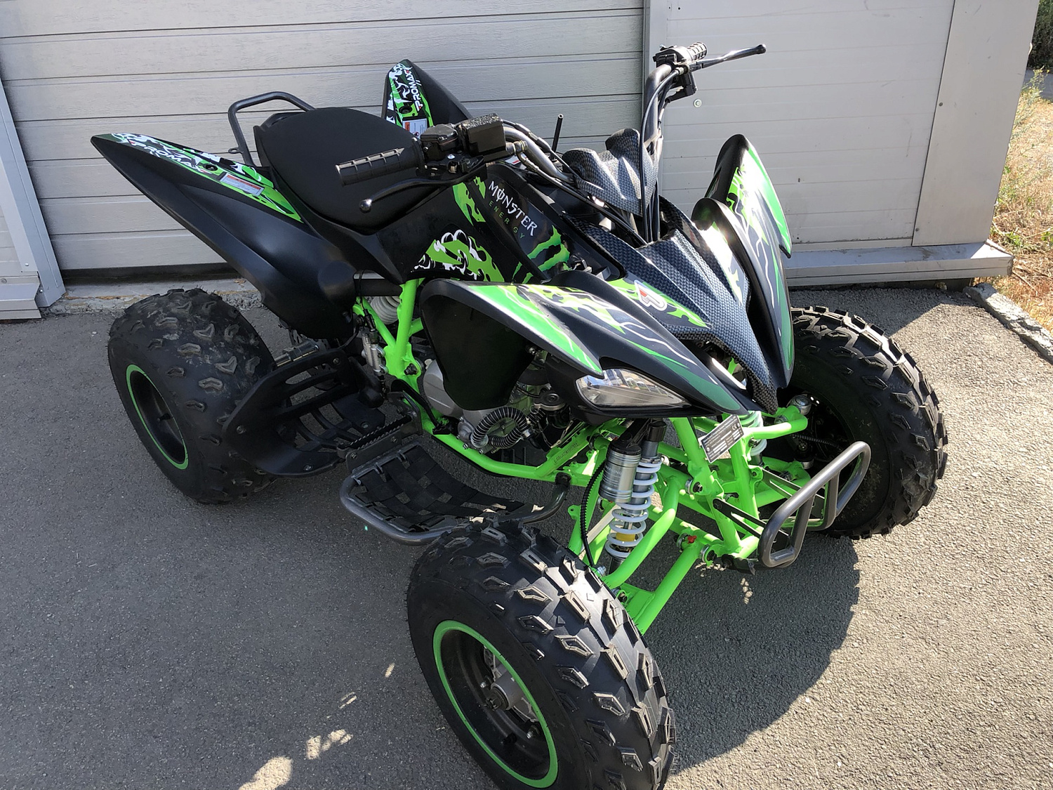 Квадроцикл PROMAX RAPTOR 300 NEW Monster в Костроме