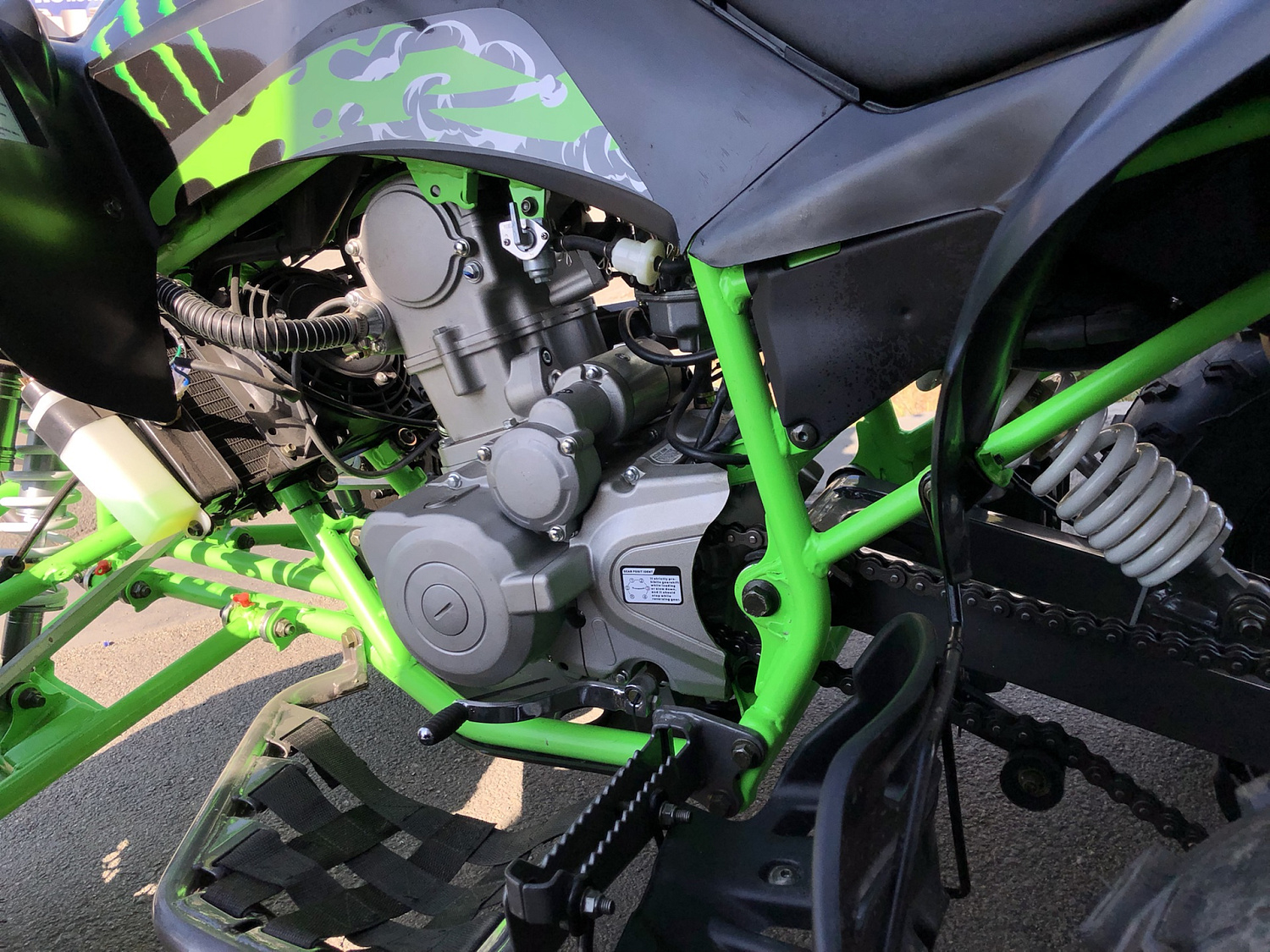 Квадроцикл PROMAX RAPTOR 300 NEW Monster в Костроме