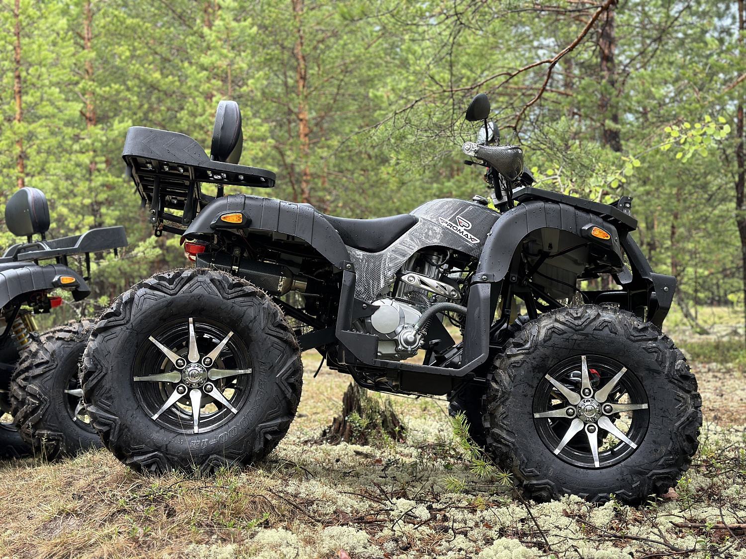 Квадроцикл PROMAX 320 DOMINATOR PRO (2025) в Костроме