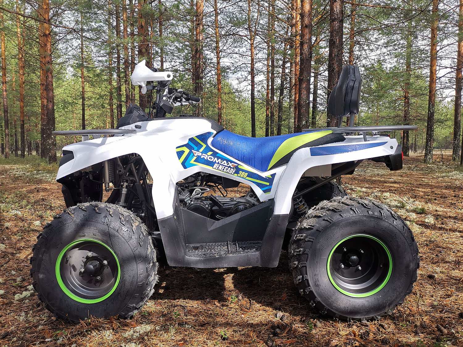Квадроцикл PROMAX RENEGADE 280 (2025) в Костроме