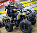 Квадроцикл PROMAX ATV 250 (2025) в Костроме