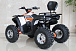 Квадроцикл GBM STORMRIDER 320 PREMIUM в Костроме