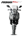 МаксиСкутер PROMAX-HONDA ADV 150 (49) (Inspired by HONDA) в Костроме