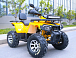 Квадроцикл MOTOLAND (МОТОЛЕНД) VOX200 WILD TRACK X PRO (баланс. вал) в Костроме