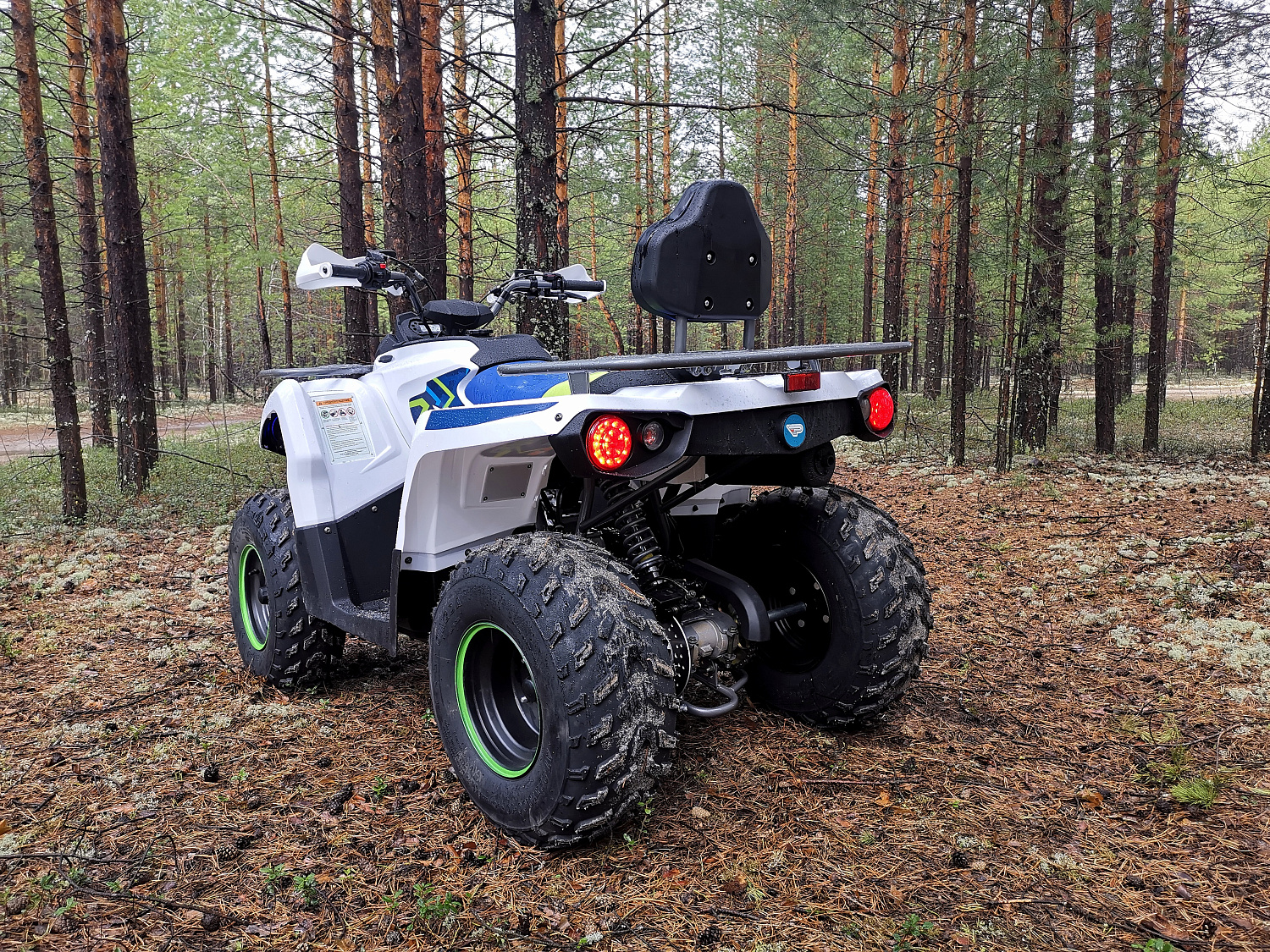 Квадроцикл PROMAX RENEGADE 280 (2025) в Костроме