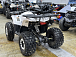 Квадроцикл PROMAX WILD 2.0 190 LUX в Костроме