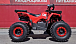 Квадроцикл PROMAX WILD 175 BASIC в Костроме