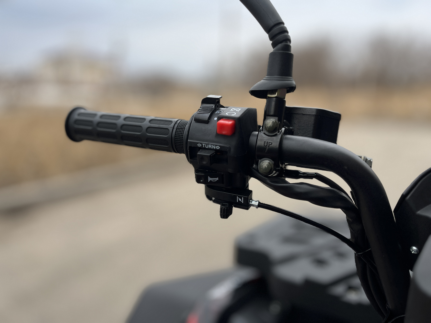 Квадроцикл PROMAX TAURUS 300 MAX-PRO LONG в Костроме