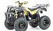 Квадроцикл MOTOLAND (МОТОЛЕНД) 250 ADVENTURE в Костроме